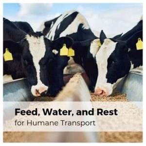 Feed Water and Rest for Humane Transport