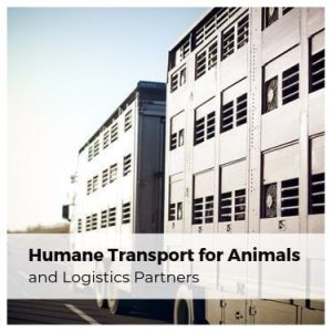 Humane Transport for Animals and Logistics Partners