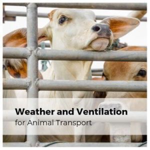Weather and Ventilation for Animal Transport