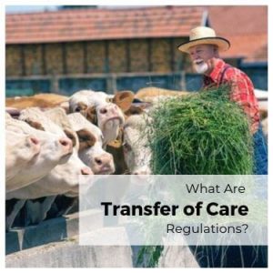 What Are Transfer of Care Regulations